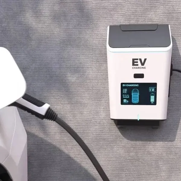 Wat kost elektrisch rijden écht? Dit geven Belgen jaarlijks uit aan laadpalen en stroom