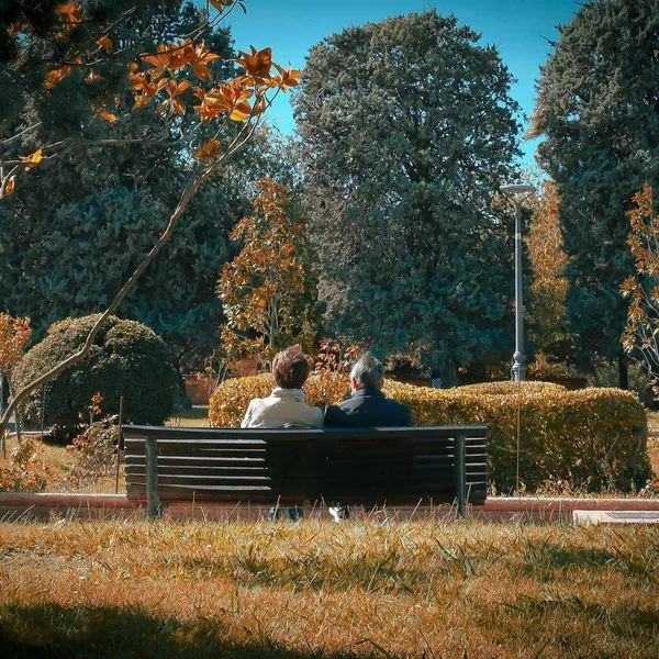 Belgisch pensioen vs. levensstandaard: harde cijfers onthullen hoe groot de kloof is tussen de twee