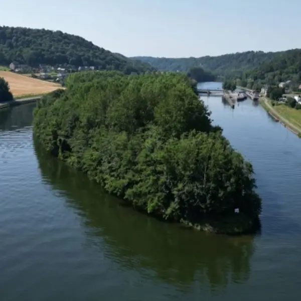 Dit privé-eiland in Wallonië kan van jou zijn voor € 95.000... maar er zit een addertje onder het gras