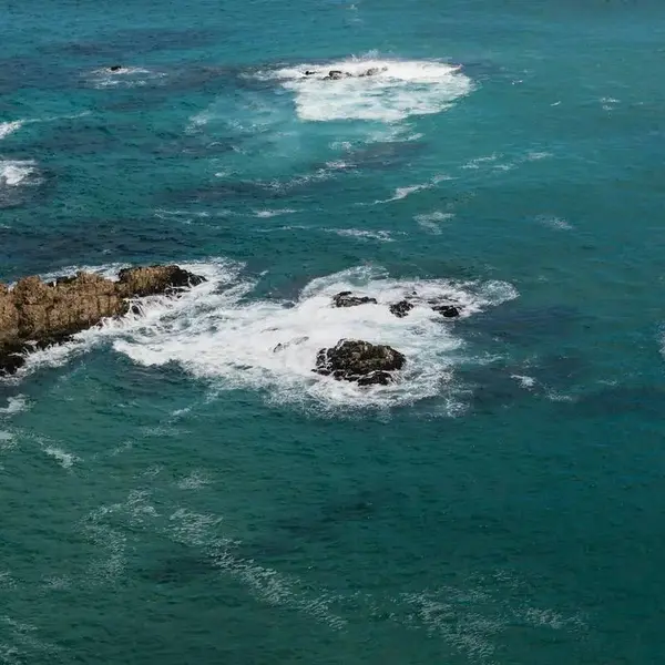 Wat wetenschappers nu ontdekten in de Bermuda Driehoek maakt het mysterie nóg groter: “Ongezien op aarde!”