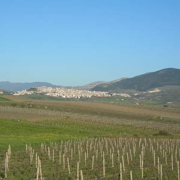 In Italië kan je een huis voor 1 euro kopen - ook als Belg, maar er zijn 3 voorwaarden