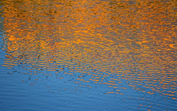220803WATERVIJVERPIXABAY