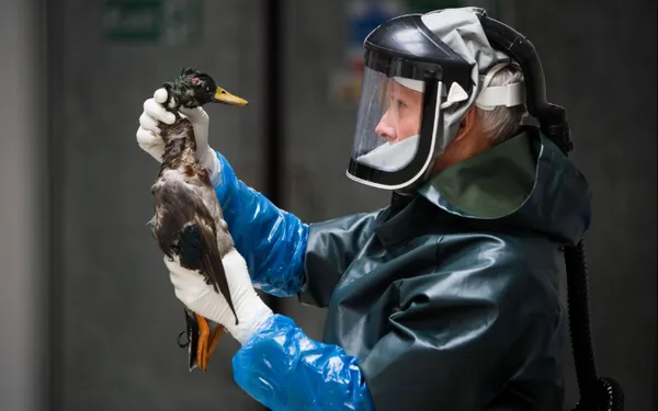 220804VOGELGRIEPPHOTONEWS