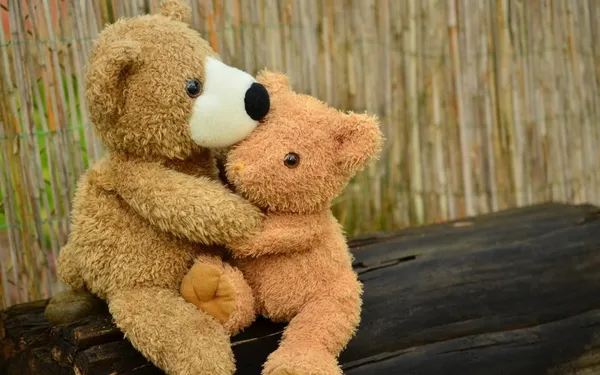 TeddybeerPixabay