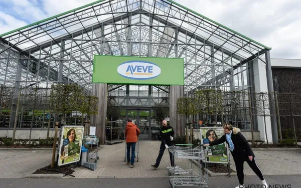 avevephotonews