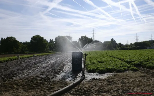 waterschaarste