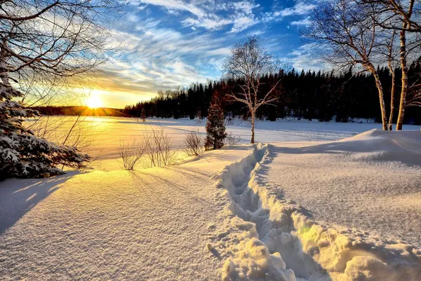 sneeuw winter weer