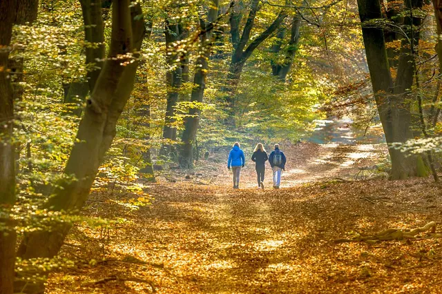 Wandel het Rondje Ameland op 14 juni 2025 tijdens populaire tocht van 25 of 50 km