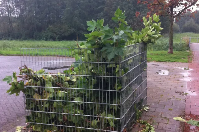 Bladafval