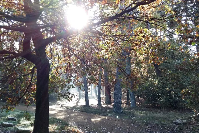 Ereveld vol leven: In vrede stilstaan bij een leven verloren door oorlog