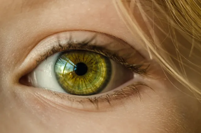 Naked Eye Project in CODA museum: álles draait om oogcontact
