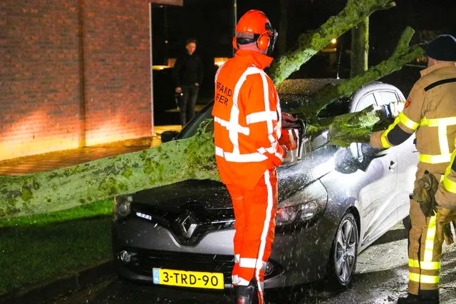 Boom valt boven op geparkeerde auto aan de Stille Tuin