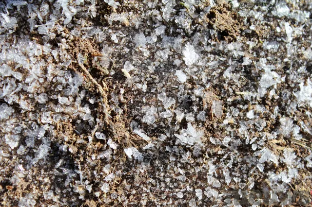 Komende nachten verlopen vrij koud met kans op vorst aan de grond