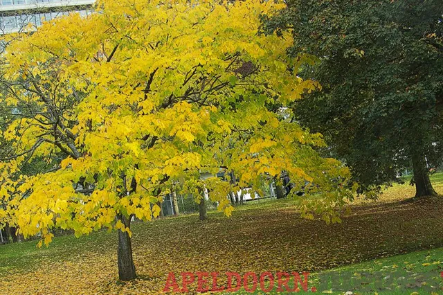 Eerste locatie expositie fotowedstrijd ‘Bomen voor jou’ succesvol