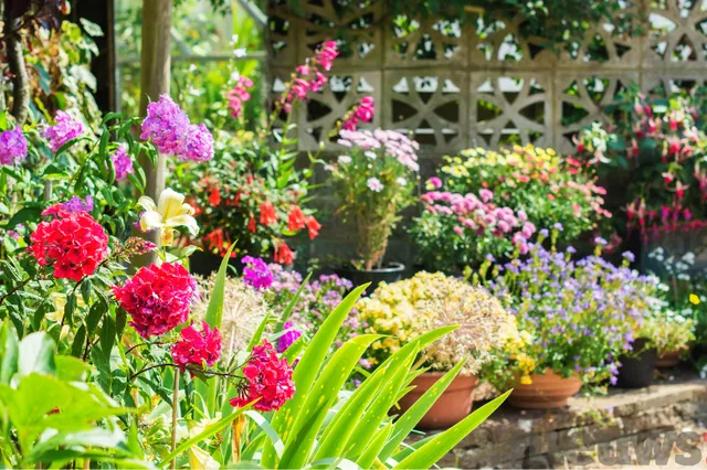 Bloemen voor bijen en vlinders: Help de natuur in je tuin
