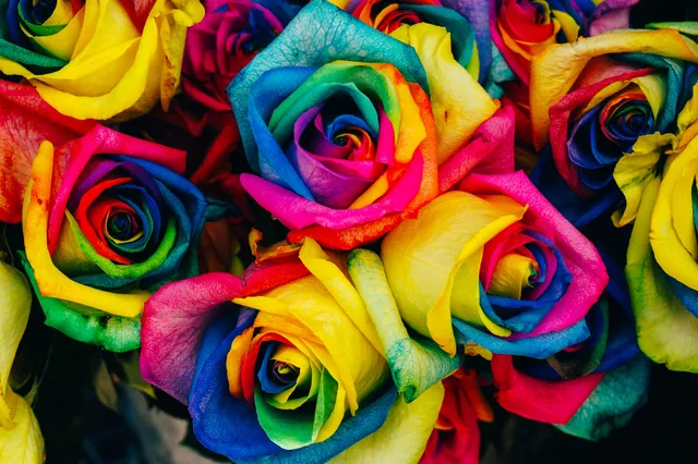 Apeldoorn is regenbooggemeente