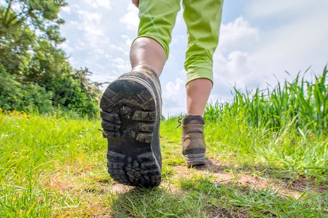 Wandeltocht door de natuur tijdens Midden Veluwe wandeltocht