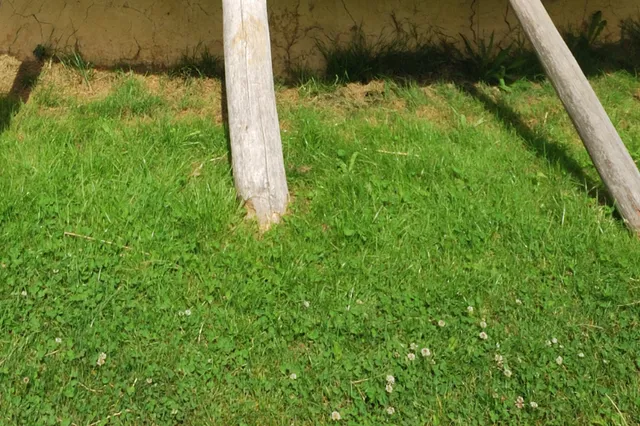 Veel jongvolwassenen nieuwsgierig naar sporen uit de steentijd