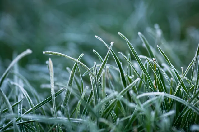 Frisse ochtend, zachte middag in Apeldoorn