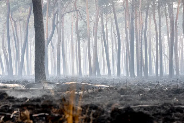 [FOTOSERIE] Schade na natuurbrand bij Drunen groot: herstel gaat jaren duren