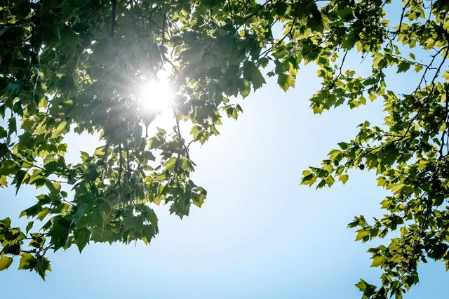 Het wordt loeiheet: vanaf zondag Hitteplan voor Brabant en Limburg