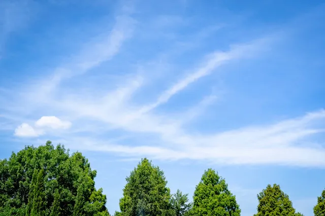 Het weekend van vrijdag nog zon en warmte naar zondag nat