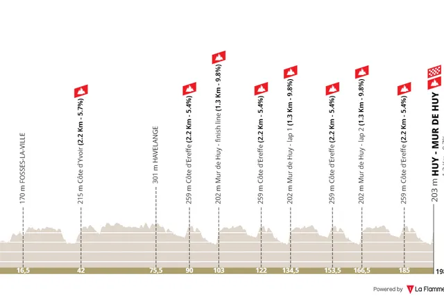 Profile & Route Flèche Wallonne 2024