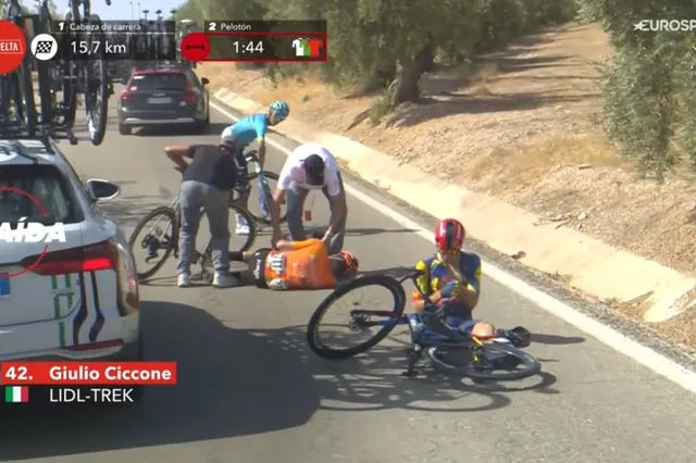 Medical Report and withdrawals Vuelta a Espana 2024 | Update stage 8 - Deer causes crash for Giulio Ciccone; Wout van Aert crashes; João Almeida with Covid?