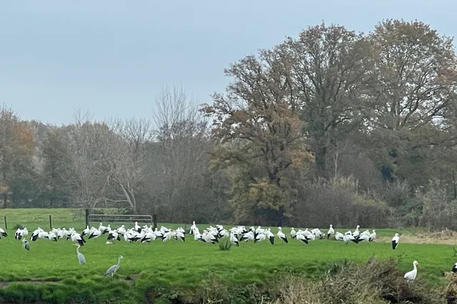 De Wolden wil geen biodiversiteitsonderzoek in het Reestdal