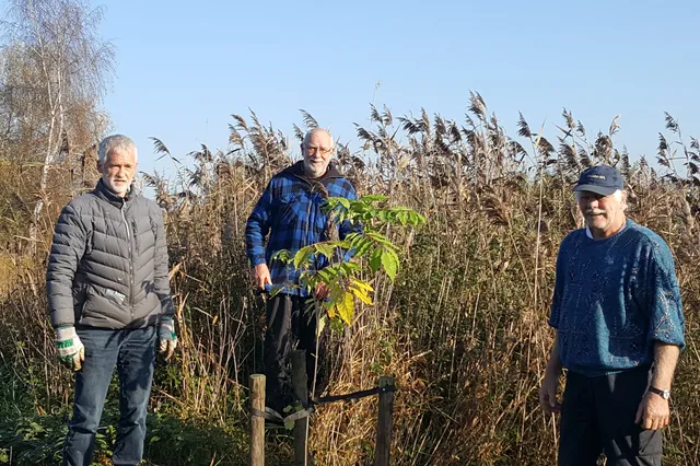 Imkers uit Ruinen bieden bijenboom aan in Ruinerwold