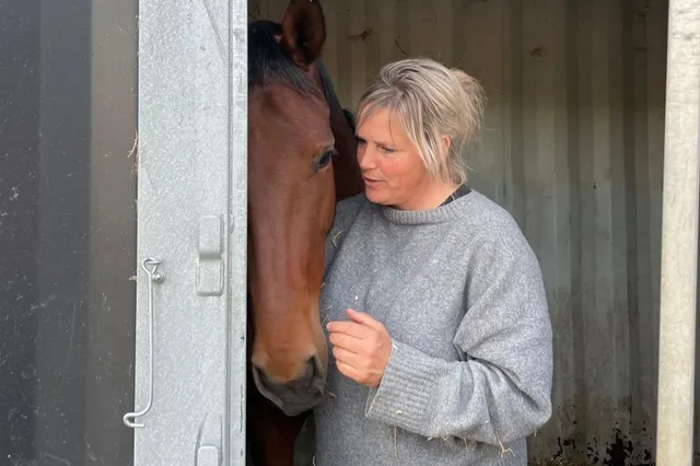 Je hoofd draait overuren, maar je lichaam wijst de weg
