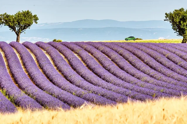 Provence