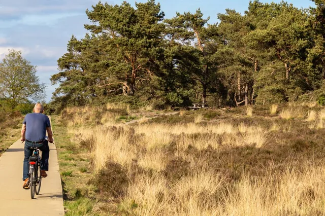 Veluwe