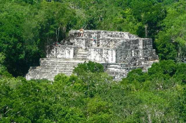 Maya
