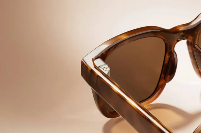 Meta glasses