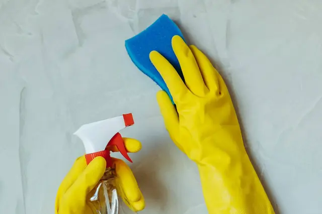 Schoonmaak