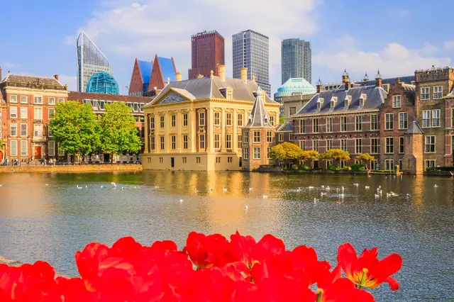 Den haag