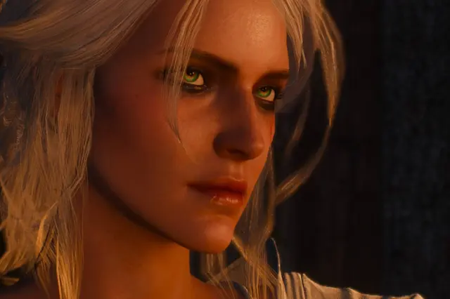 The Witcher