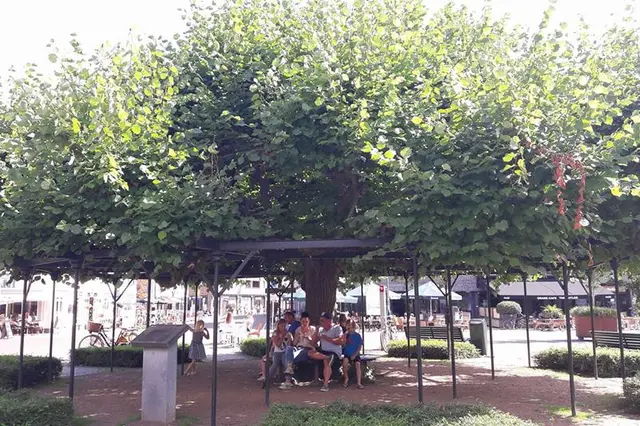 Medisports City-Walk Image