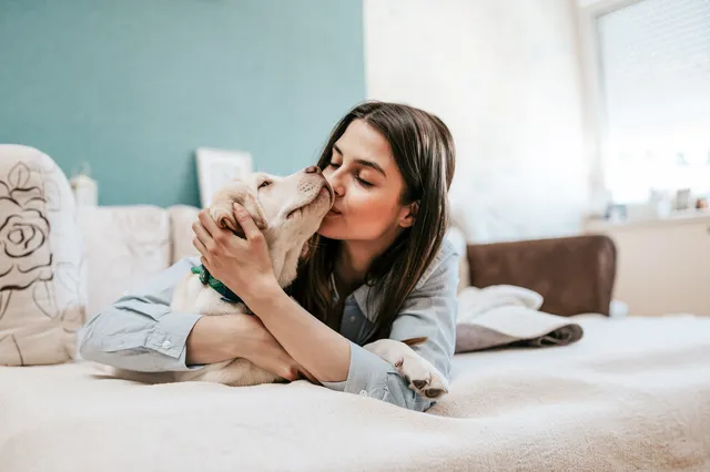 Science says: je slaapt beter met een hond naast je dan je partner