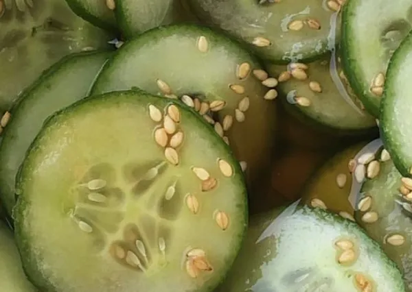 5 redenen waarom het komkommer dieet de grootste onzin ooit is
