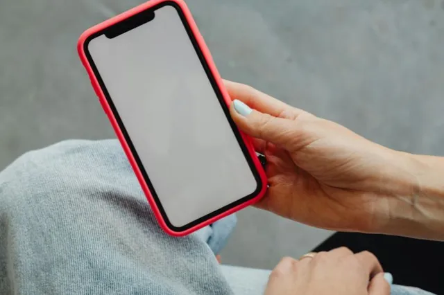 Privacyvoorwaarden: dít is waar je toestemming voor geeft bij downloaden Temu-app