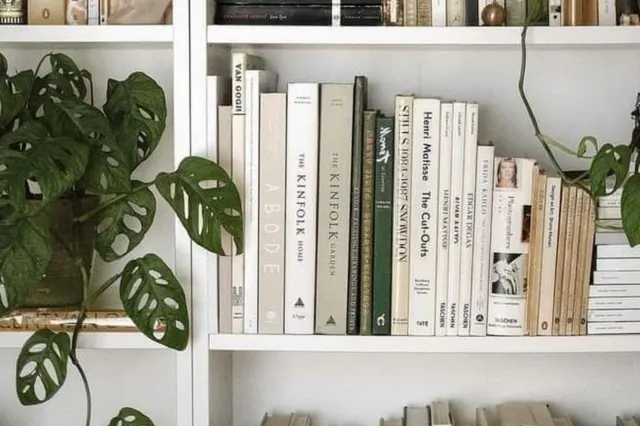 7x de beste boeken geschreven door vrouwen voor vrouwen