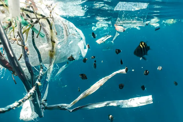 plastic tegengaan besparen