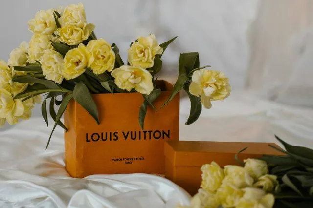 Louis Vuitton dolfijntas