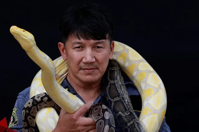 Dappere Thaise slangenvanger is de held van Bangkok