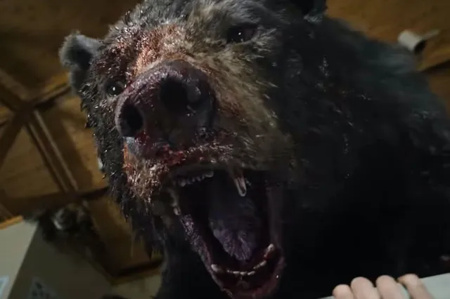 Cocaine Bear: een film over het waargebeurde verhaal van een beer die 136 kilo coke at