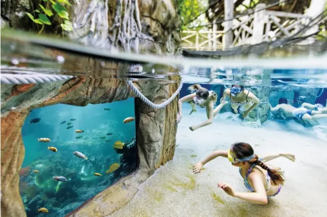 5 vakantieparken in Nederland met subtropisch zwembad waar jij wil vertoeven