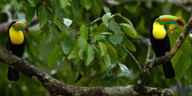25 foto's die bewijzen dat je naar Belize moet