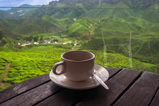 $10.000 verdienen en door Azië reizen om koffie te proeven, het kan nu echt